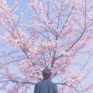 日本三级美腿丝袜淫片
